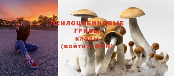 ешки Горнозаводск