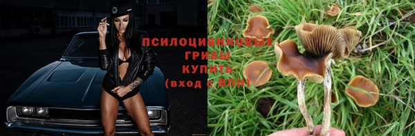 ешки Тавда