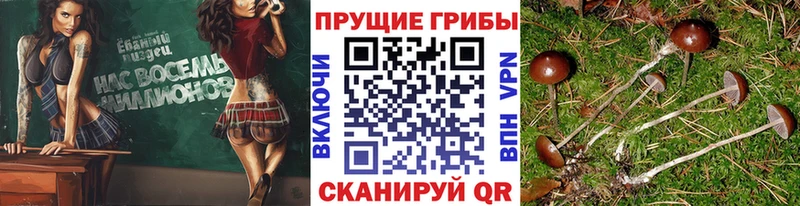 Псилоцибиновые грибы MAGIC MUSHROOMS  Зверево 